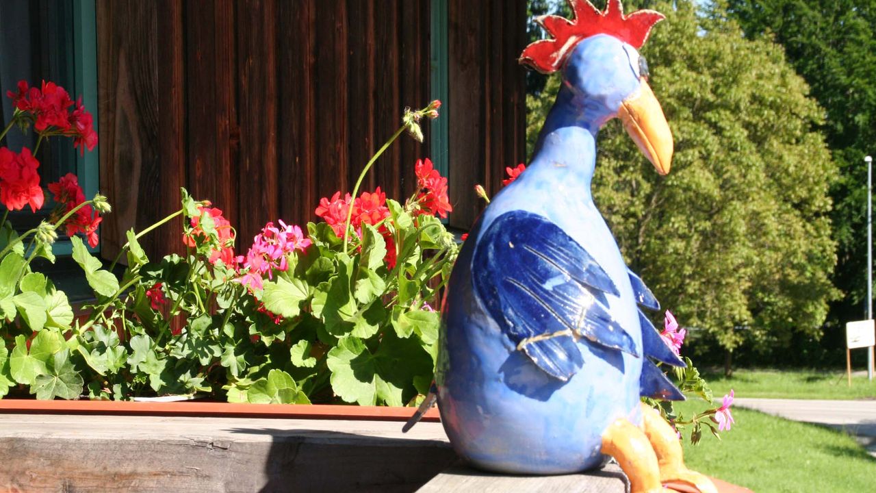 Fridolin der Frühaufsteher Fridolin der Frühaufsteher